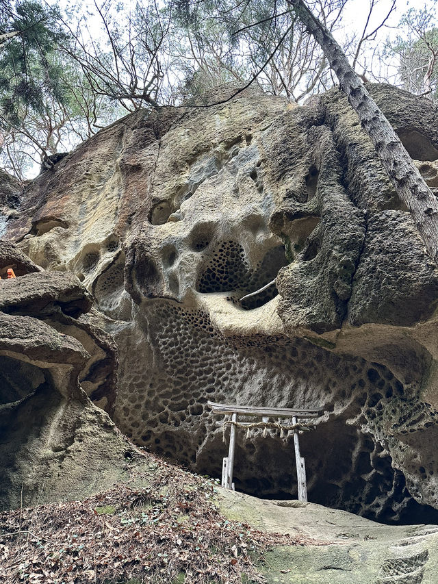 【東北×山形】 神秘的な雰囲気が漂う  隠れたパワースポットと驚きの鳥居