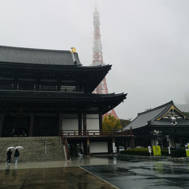 Sky-High Thrills and Picture-Perfect Moments at Tokyo Tower!