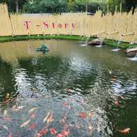 พิกัดคาเฟ่+ที่พัก เปิดใหม่ : T Story - MaeKampong