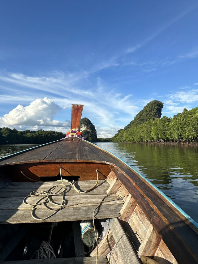 Serene River Cruise in Krabi Town! Exploring Caves and Mangrove Swamps