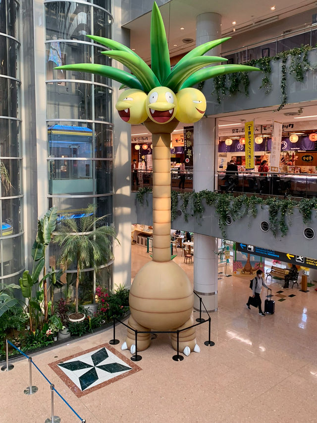 【宮崎空港】
