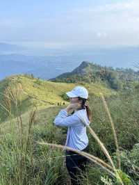 ลานต้นสนเดียว ยอดดอยหลวงตาก