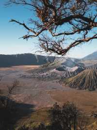 壯麗奇景：布羅莫火山冒險遊記