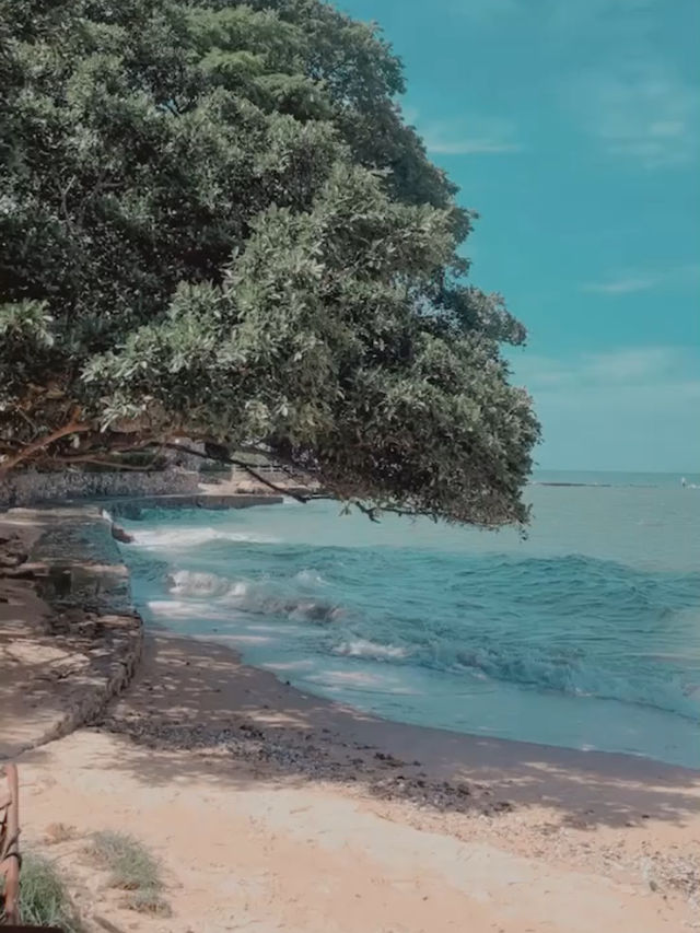 สมอบีชคาเฟ่⚓️🏖️