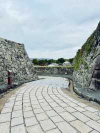 天守が築かれなかった篠山城。