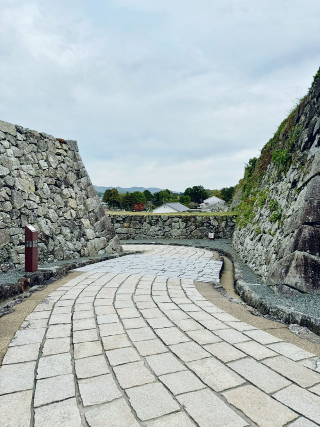 天守が築かれなかった篠山城。