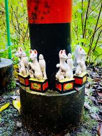【神奈川県/鎌倉　白狐の置物がたくさん並ぶ神秘的な場所『佐助稲荷神社』】