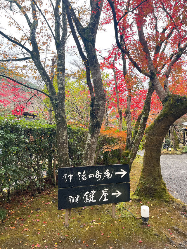 【湯布院】感動！亀の井別荘の素晴らしい紅葉✨