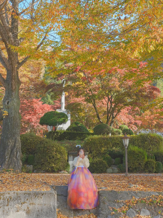 너무 아름다웠던 올 가을 제천 배론성지🍁🤎