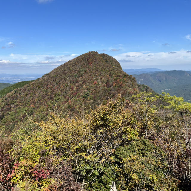 【曽爾高原】