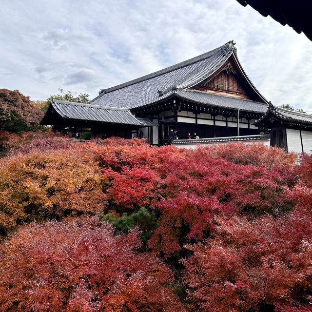 🍁京都楓紅的天花板「東福寺 通天橋」