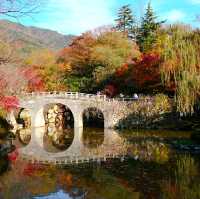 韓國大邱_Bulguksa 불국사 佛國寺_韓國國寶502號