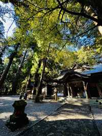 1 Day Power Spots Trip around Takachiho Gorge & Mount Aso