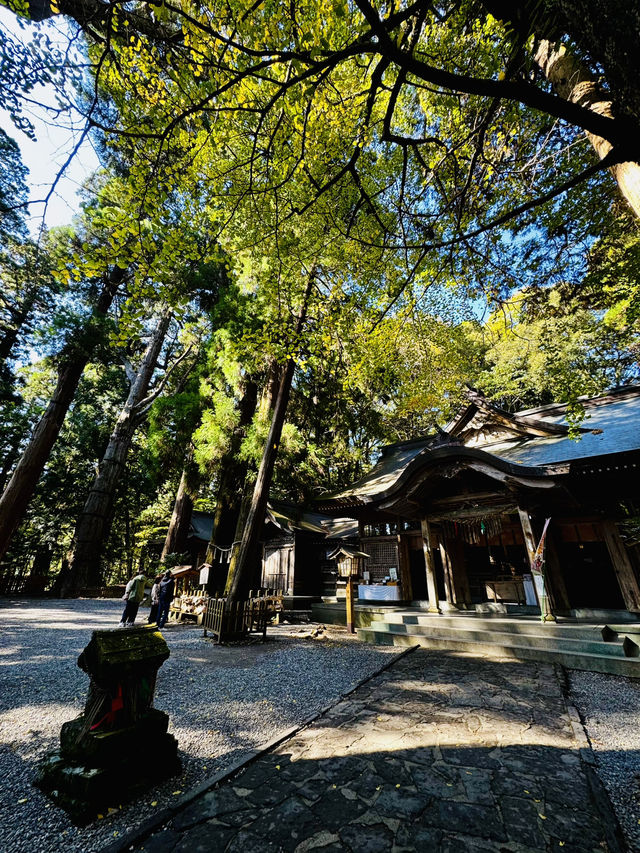 1 Day Power Spots Trip around Takachiho Gorge & Mount Aso