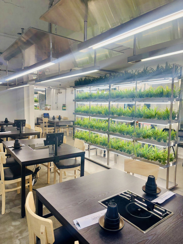 🍲샤브라운지 연남 후기🌿