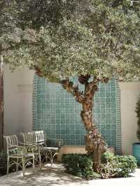 Artistry in Paradise: Exploring the Honolulu Museum of Art