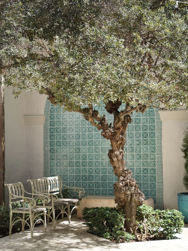 Artistry in Paradise: Exploring the Honolulu Museum of Art