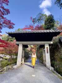 京都 ❤︎ まるで絵画のような🖼️竜宮門からの紅葉🍁 