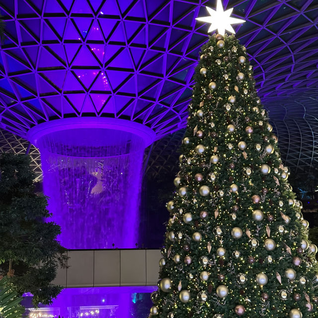 Magical Christmas Gem  💎 - Jewel Changi Canopy Park