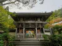 廣島🇯🇵宮島大聖院