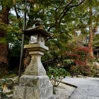 Slow life in Yanagawa and old town charm in Dazaifu