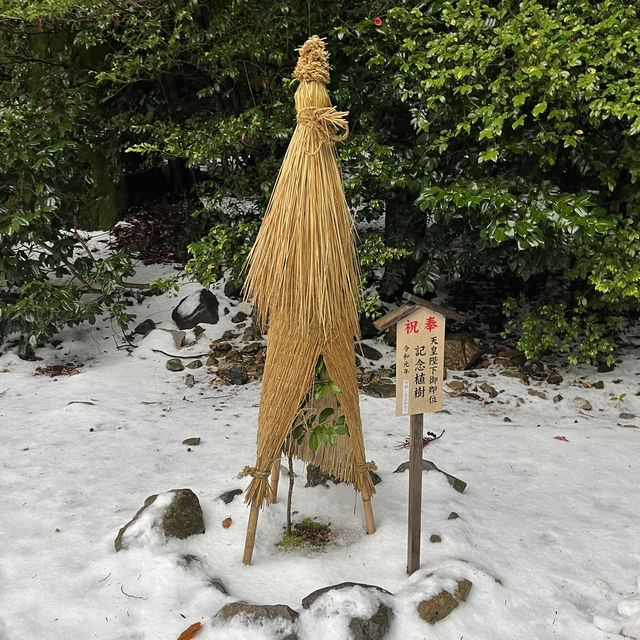 【新潟🌾】新潟の最強パワースポット⛩️