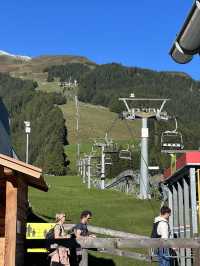 Feel the Rush at Churwalden Pradaschier Mountain Coaster in Switzerland