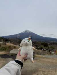 富士山超有名打卡點去一個地方就能拍到 - 馬飼野牧場 🐮