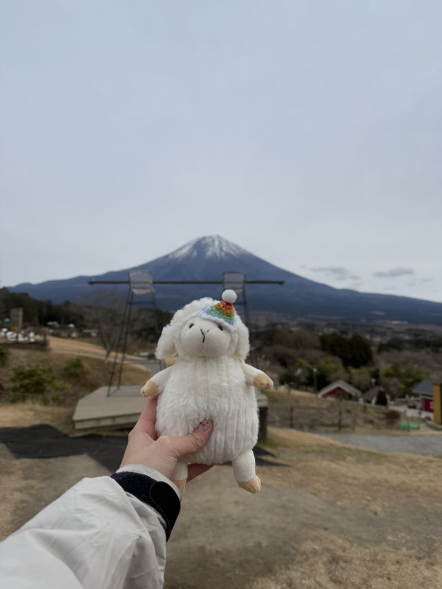 富士山超有名打卡點去一個地方就能拍到 - 馬飼野牧場 🐮