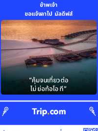 จุดเช็คอินถนนต้นไม้ - เชียงดาว