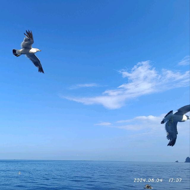 韓國濟州牛島（Udo)