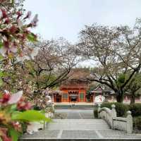 Fujinomiya เมืองน่ารักที่มองเห็นฟูจิซังแบบเต็มตา