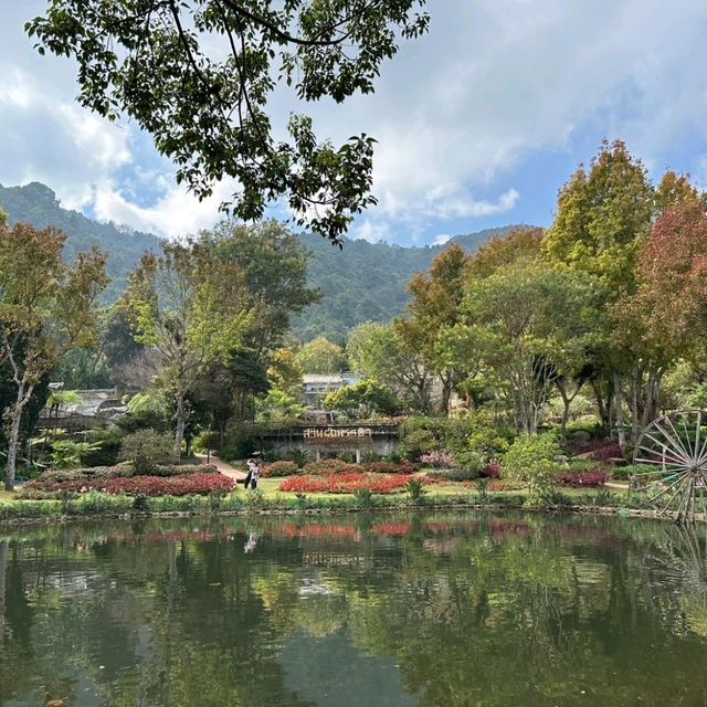 ชมดอกไม้สวยๆ ที่สถานีเกษตรหลวงอินทนนท์
