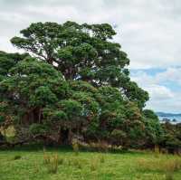 Historically significant, the Bay of Islands