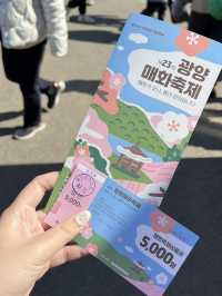 Maehwa Festival ที่จังหวัดกวางยาง