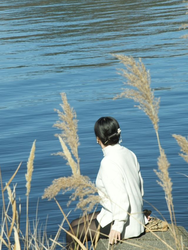 《山中湖》秋から冬の美しい景色に魅せられて