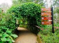ชมสวนดอกไม้เชียงราย สวนรุกขชาติแม่ฟ้าหลวง