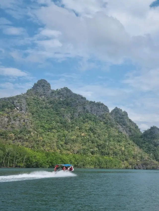절경 속에서 즐기는 맹그로브 투어