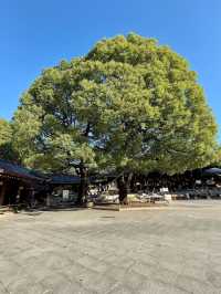 Meiji Jingu