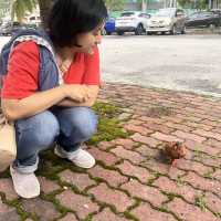 Off the beaten track in Kampar, Perak, Malaysia. 