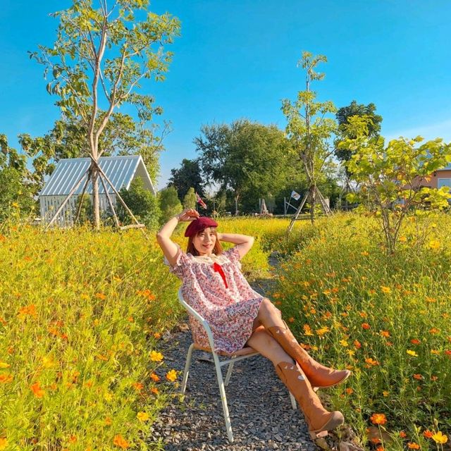 คาเฟ่โฮมมี่ สไตล์คอทเทจ🌻🌼