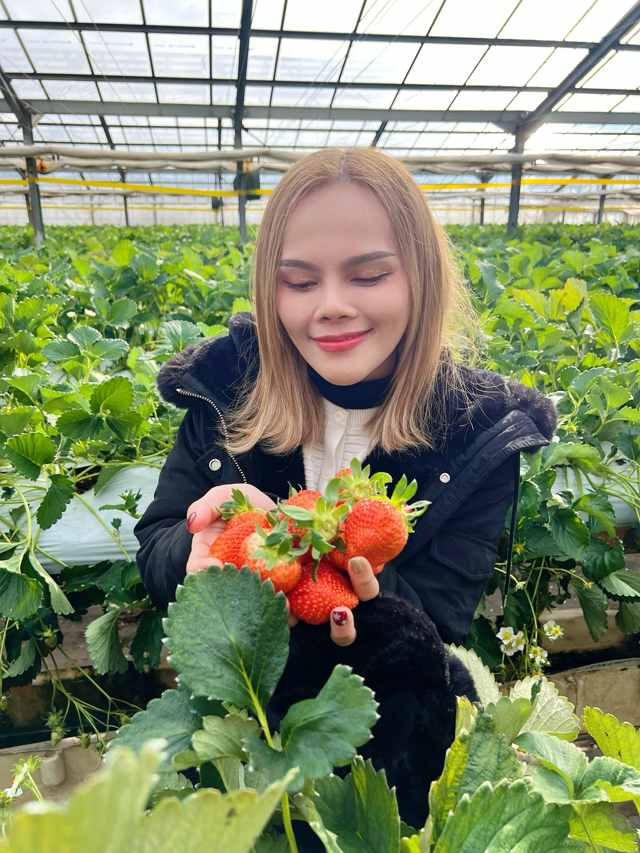 Peternakan Harada 🍓