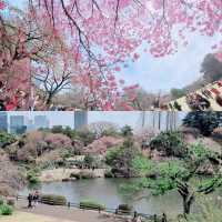 東京景點