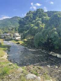 【福岡グルメ】自然豊かなテラス席が魅力なカフェ