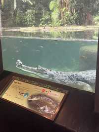Animals at Singapore’s Zoo