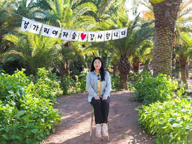 쥬라기월드에 온 것 같은 이국적인 제주 상가리 야자숲🌴