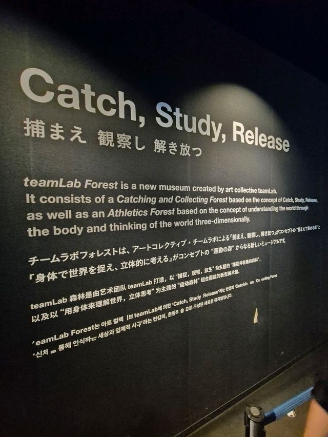 Teamlab Forest Fukuoka 🌳