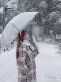 Sendai ในวันที่หิมะโปรยปราย~🌨️❄️🇯🇵