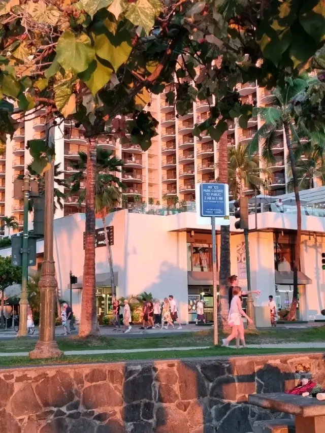 대표적인 여행지 하와이🌴