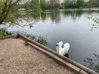  Rickmansworth Aquadrome